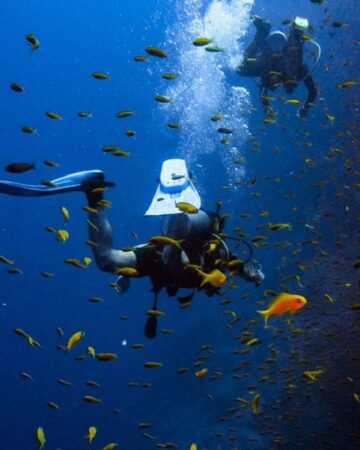 Scuba Diving